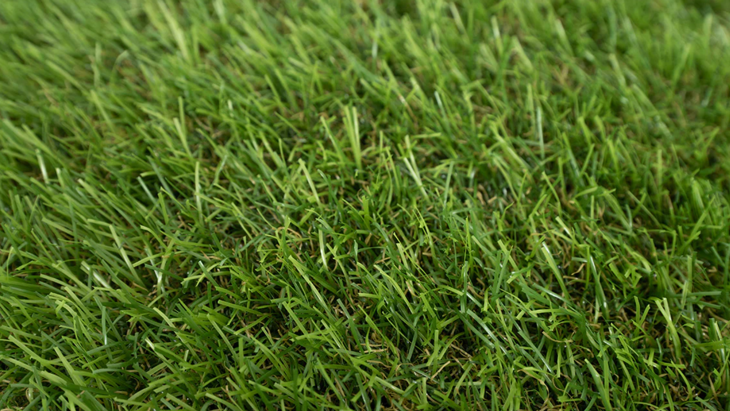 Woodchester Artificial Grass